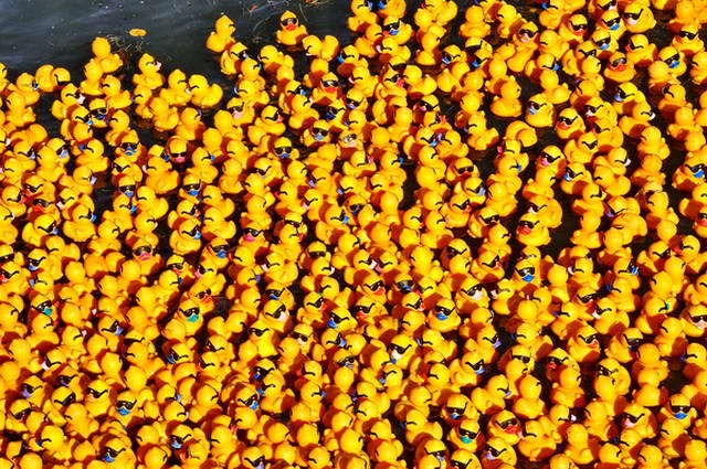 Maschseefest   536.jpg